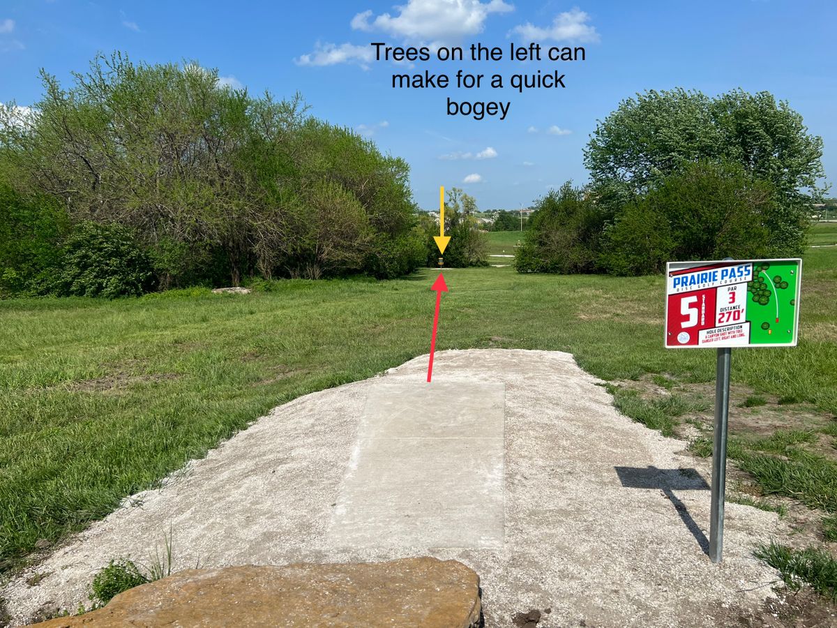 #5 - short