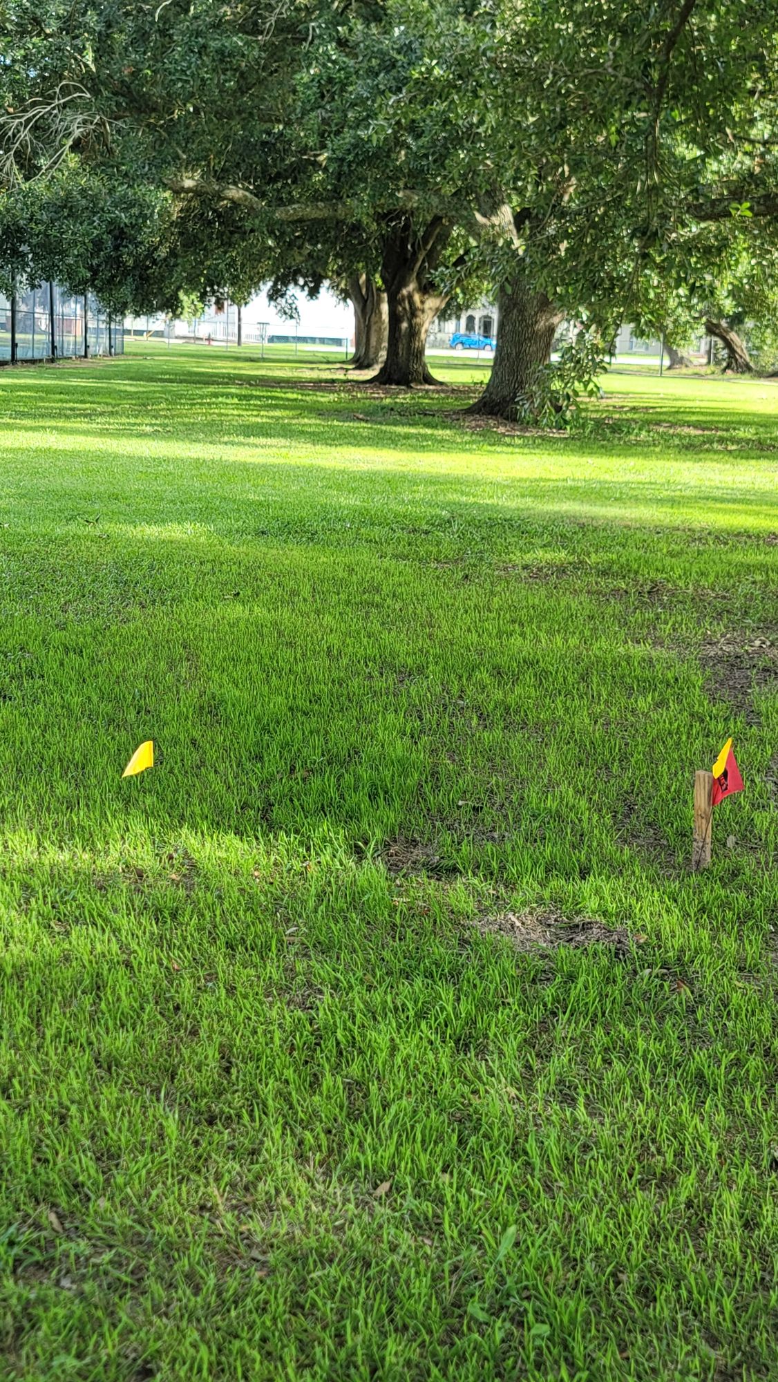 Hole 8.