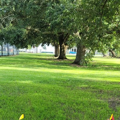 Hole 8.