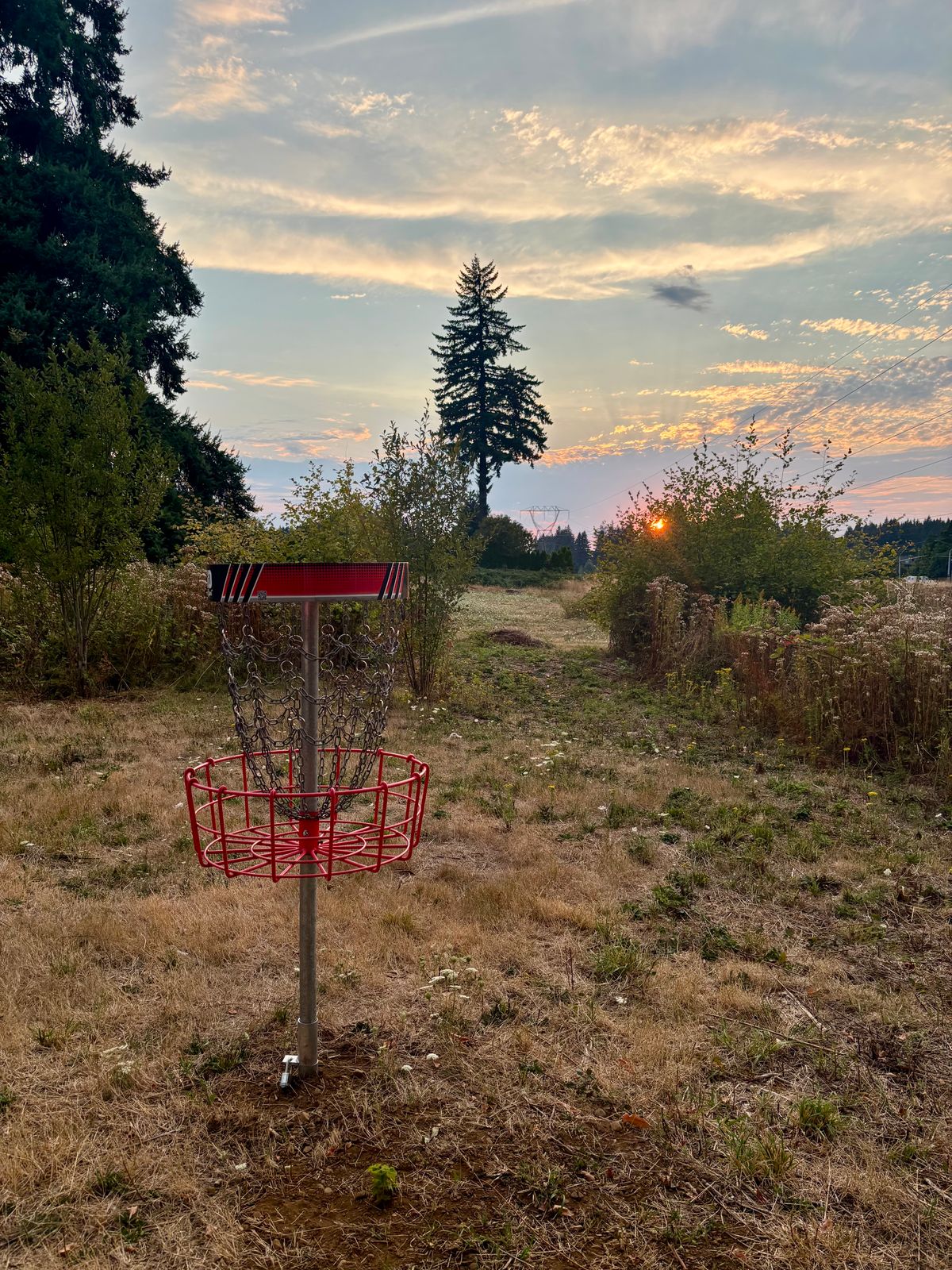 Hole 4 From Basket