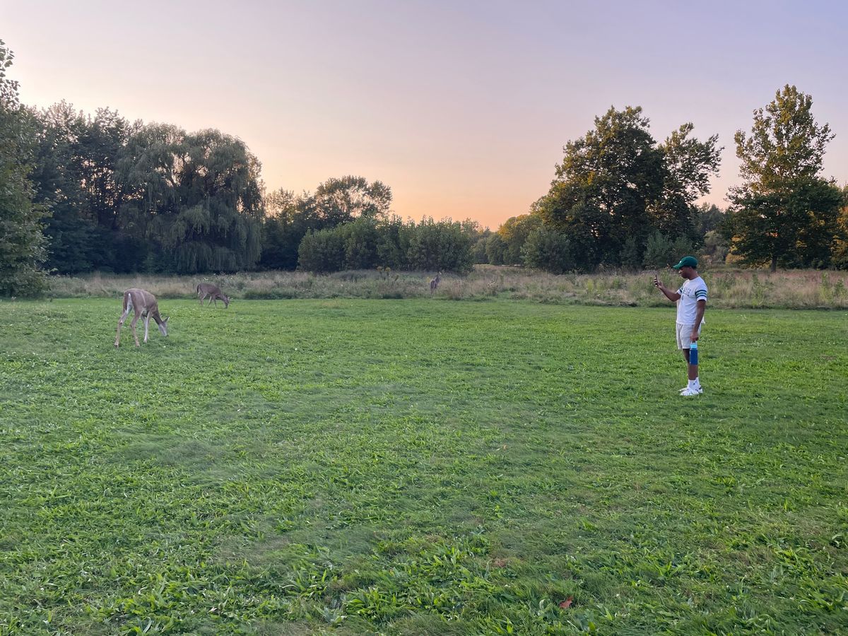 Some chill Deer