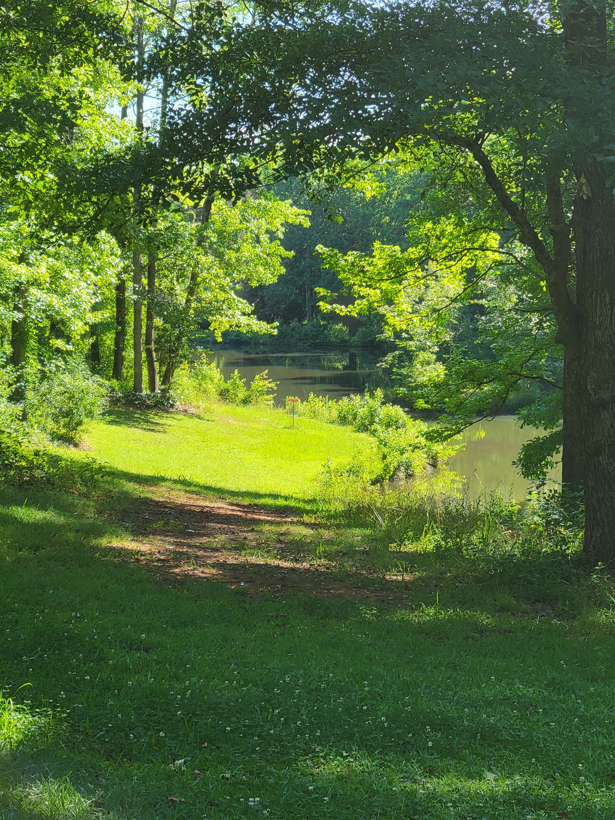 Scenery for hole 2