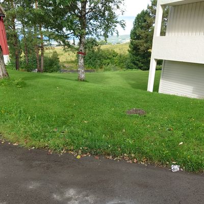 Utkast 14 og 17 kan være vanskelig å finne. De er midt bak det sørligste internatbygget.