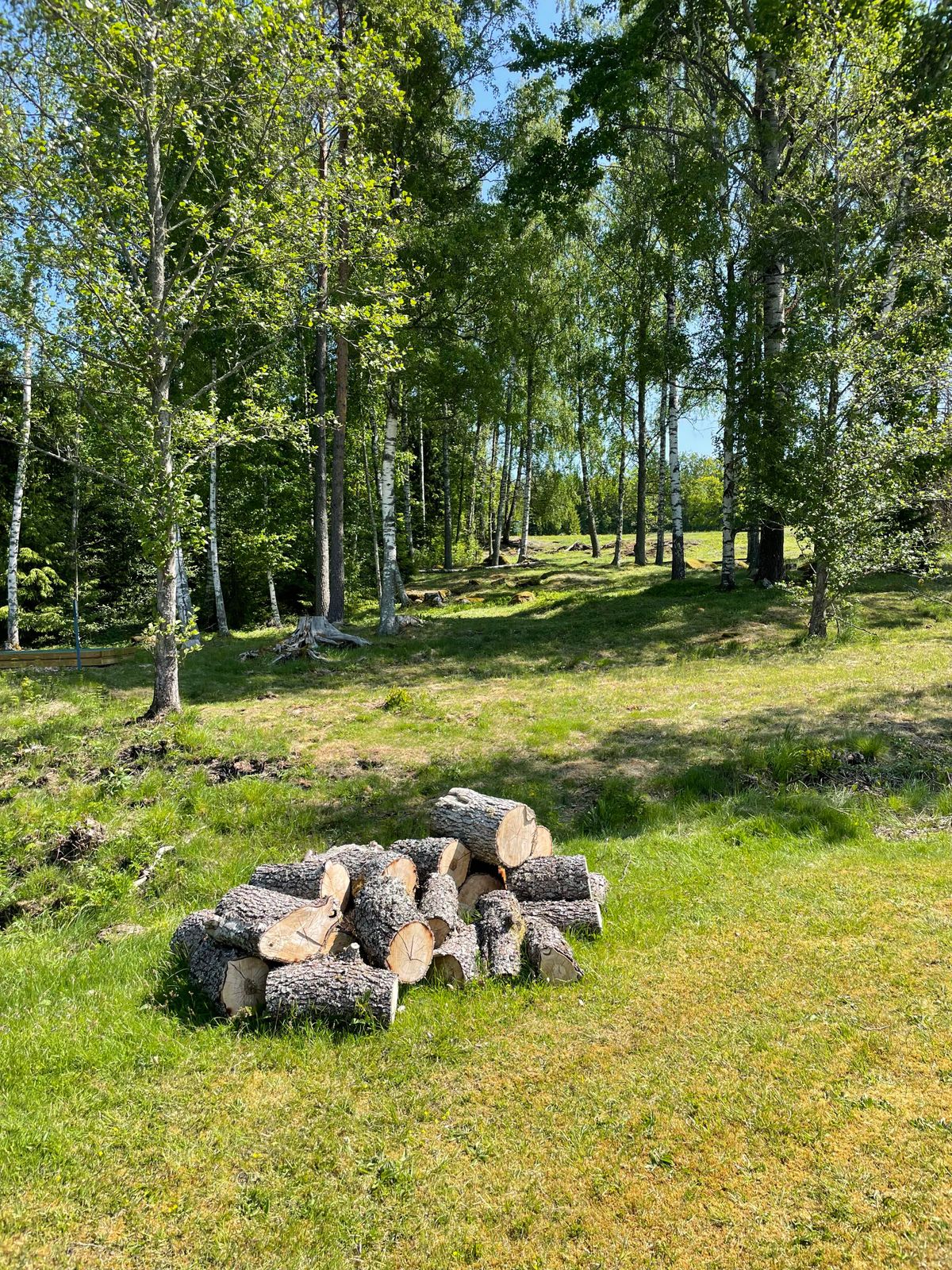 Fairway on hole 4