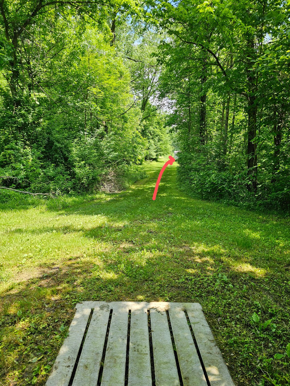 Hole 17