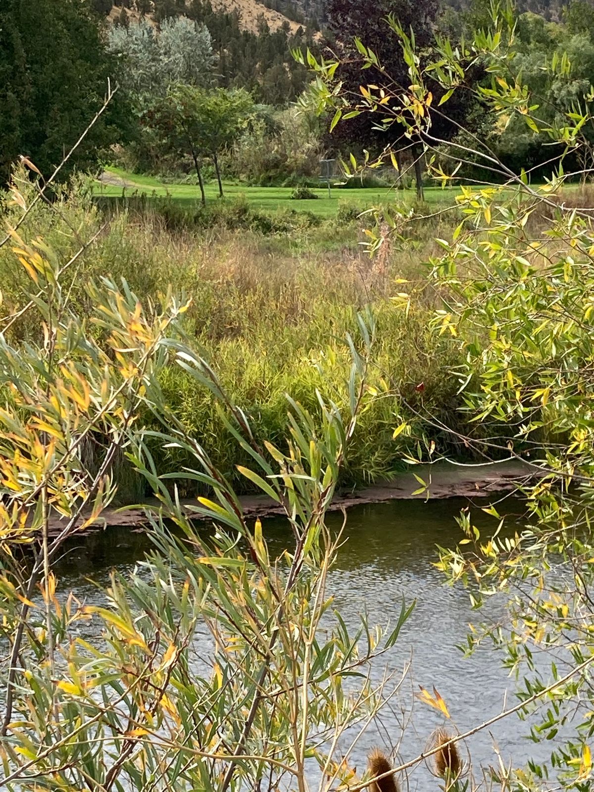 Hole 1
