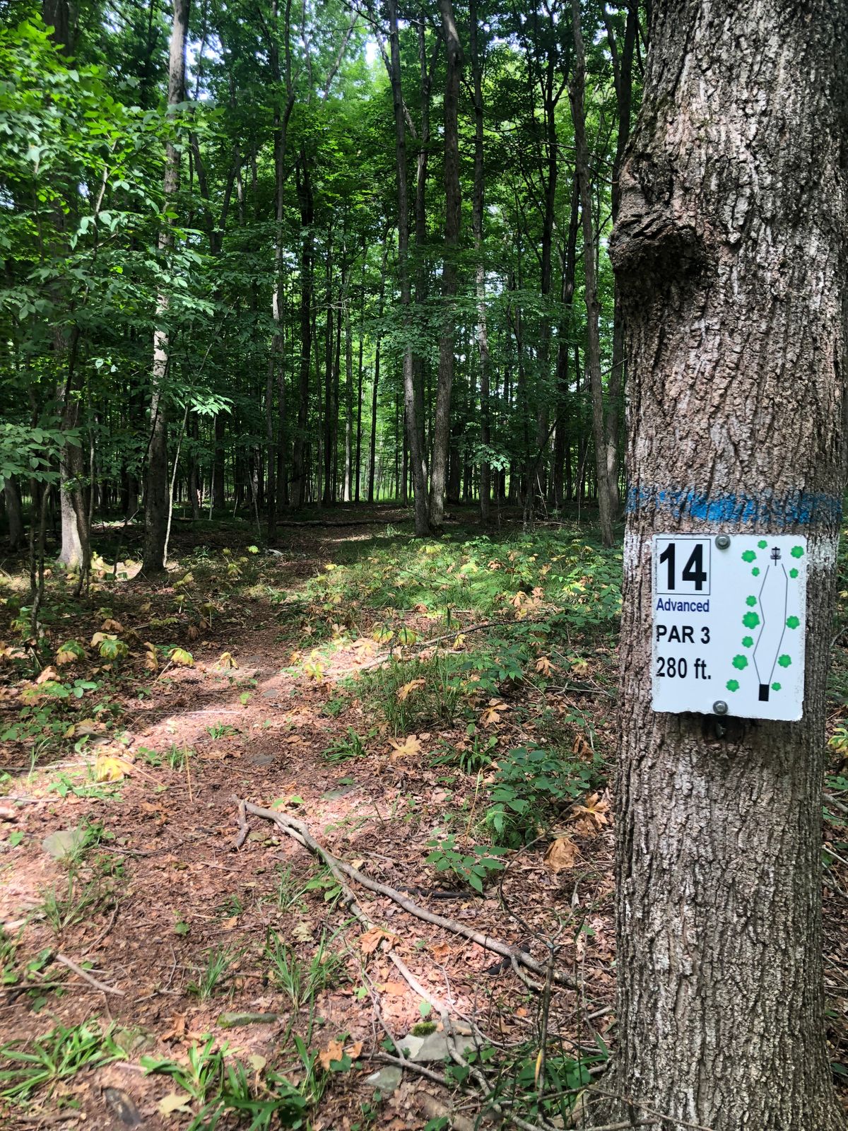 #14B