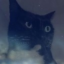 User avatar image
