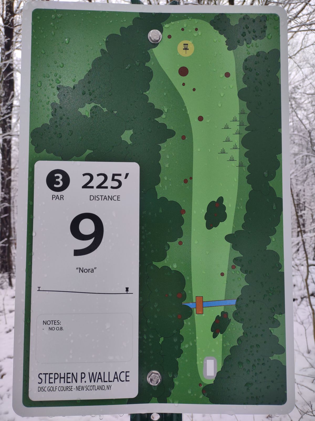Hole 9 White