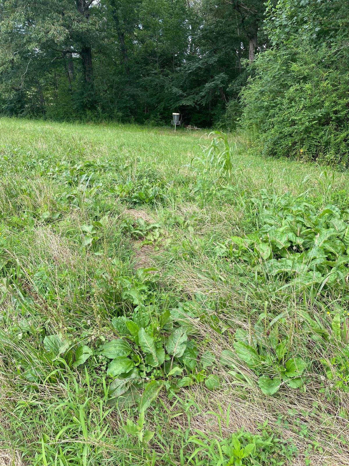 “Fairway” Hole 9