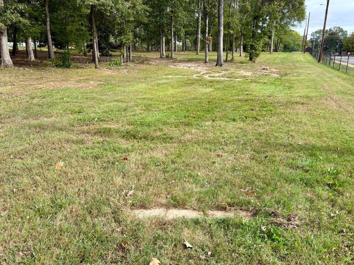 Hole 4 tee