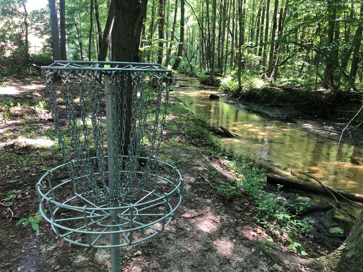 5’s basket