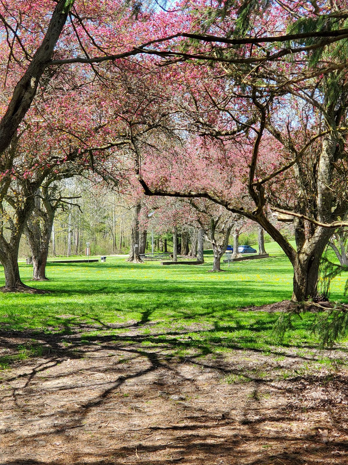Hole 9