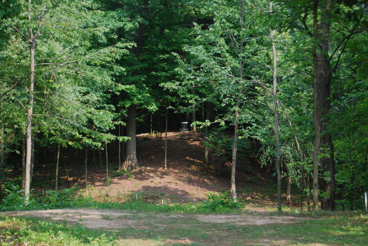 Hole 1 view from bottom of landing zone in front of creek