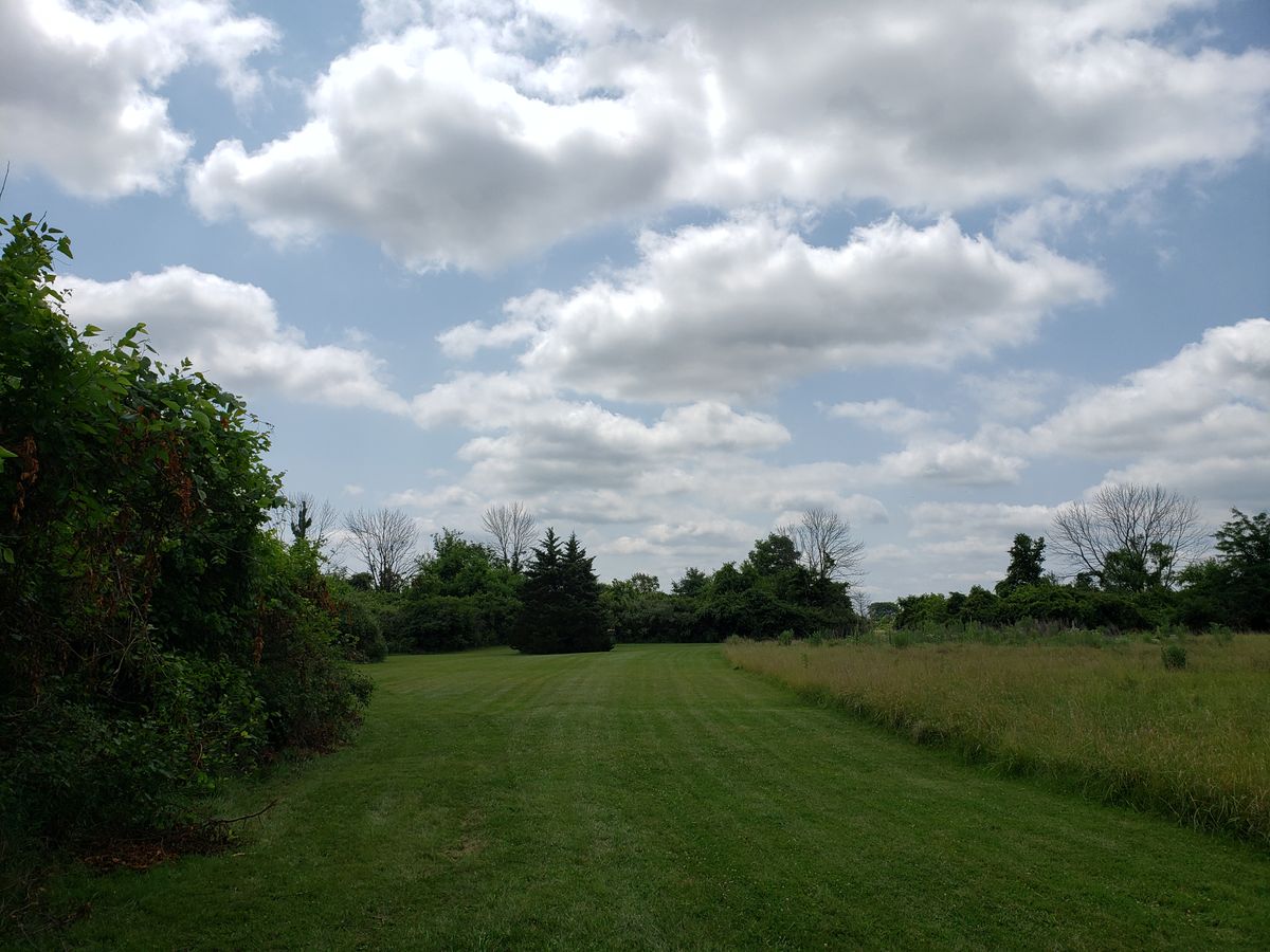 #15 Fairway.