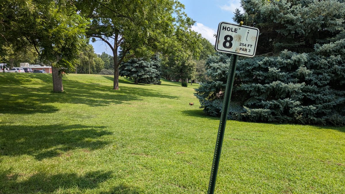 Tee #8