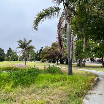 Awesome features on hole 17.