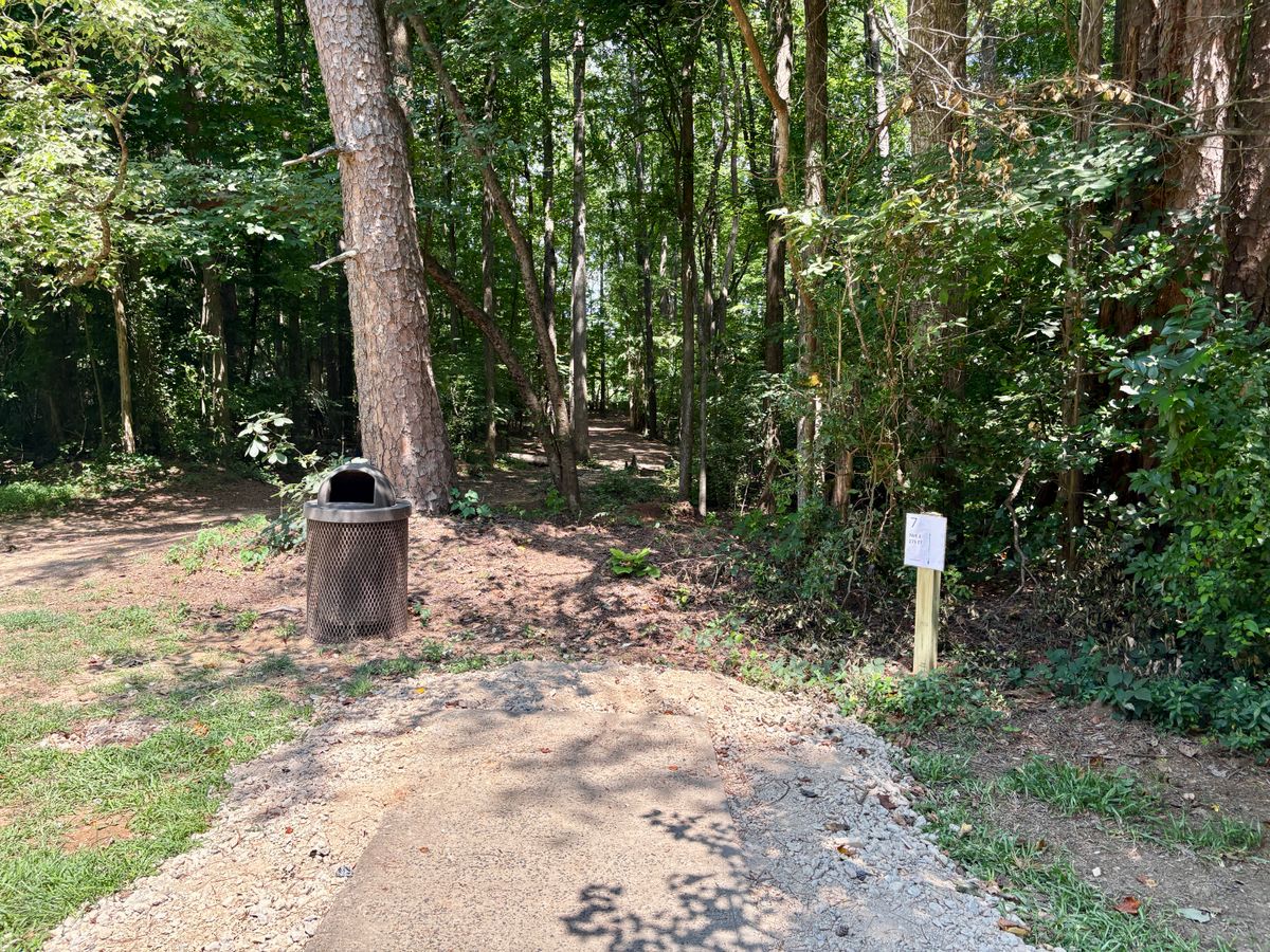 Hole 7 tee