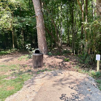 Hole 7 tee