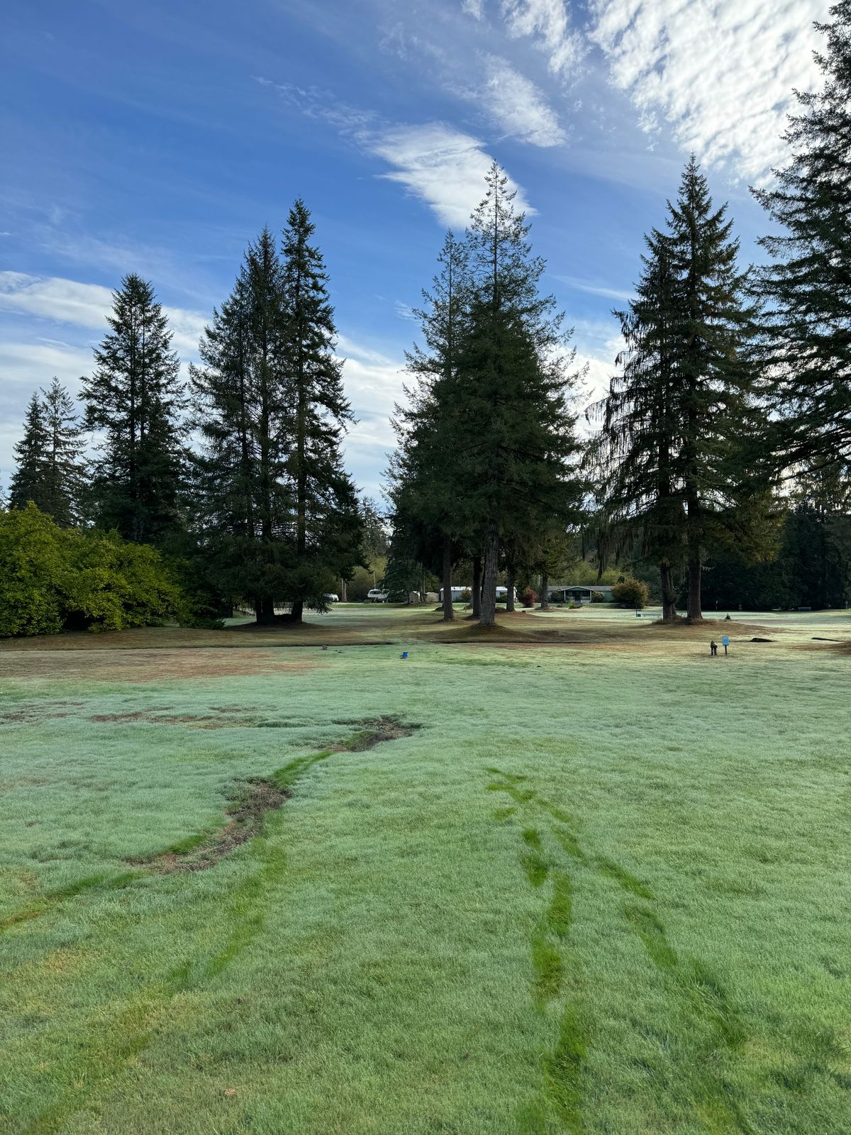 "Hole 7" plays back to the basket for Hole 3 on your way back to the parking lot. (safari golf!)