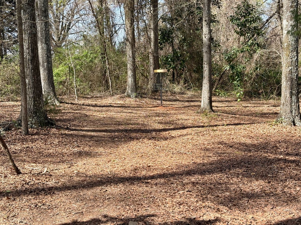 Hole 1 approach