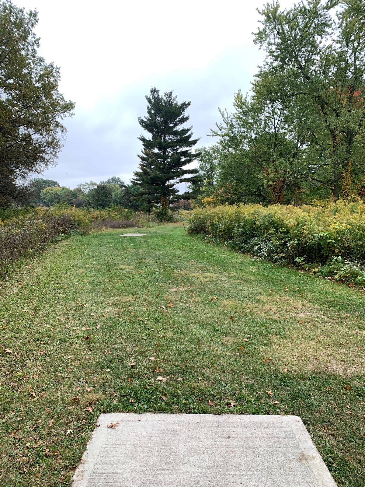 Hole 11 Blue Tee