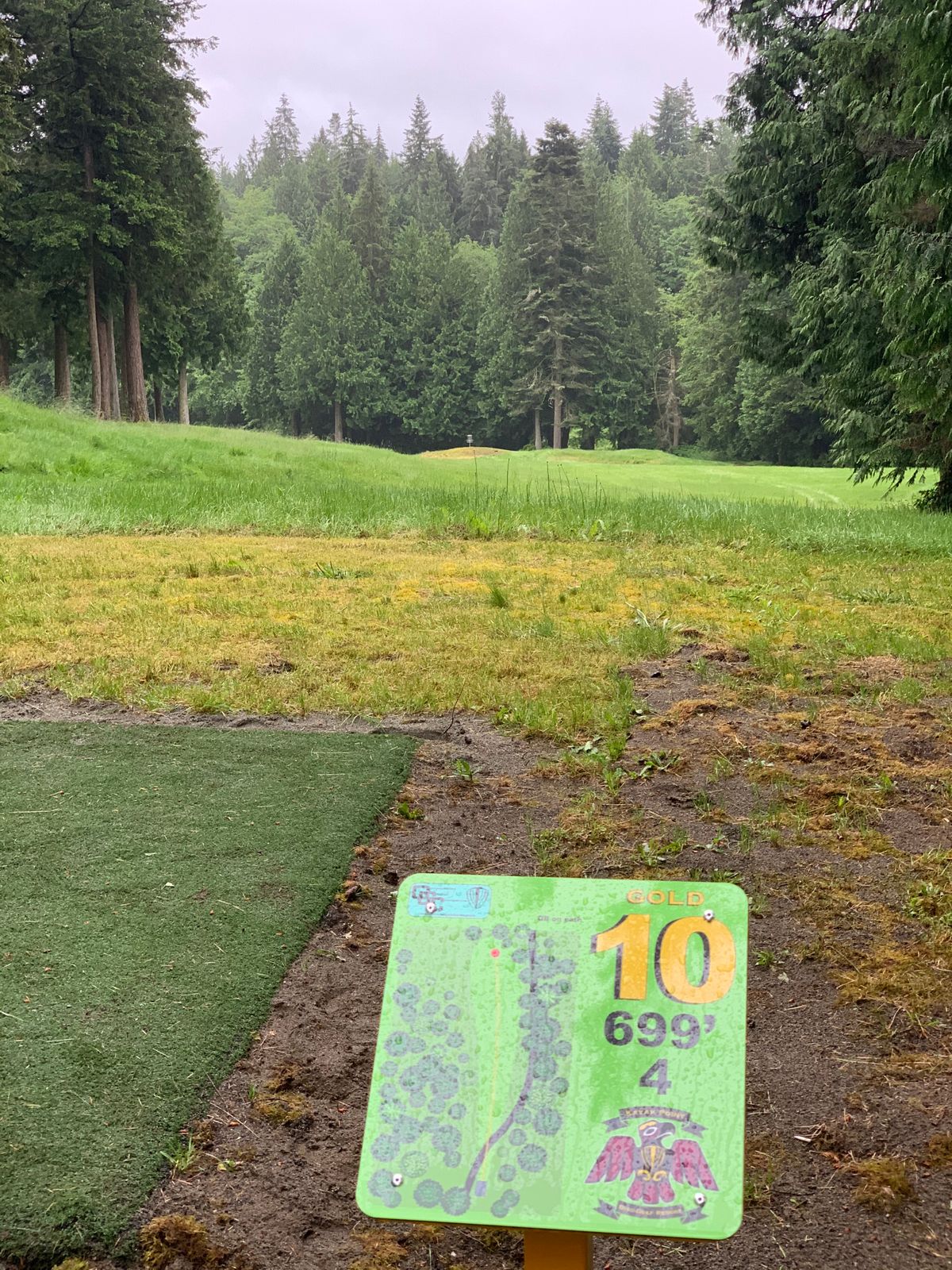 Hole 10 on the gold course