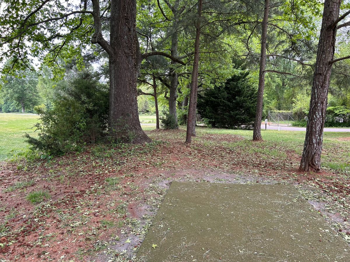 Hole 3 from the tee. No tee sign at time of picture. RHFH through gap right of big tree on left