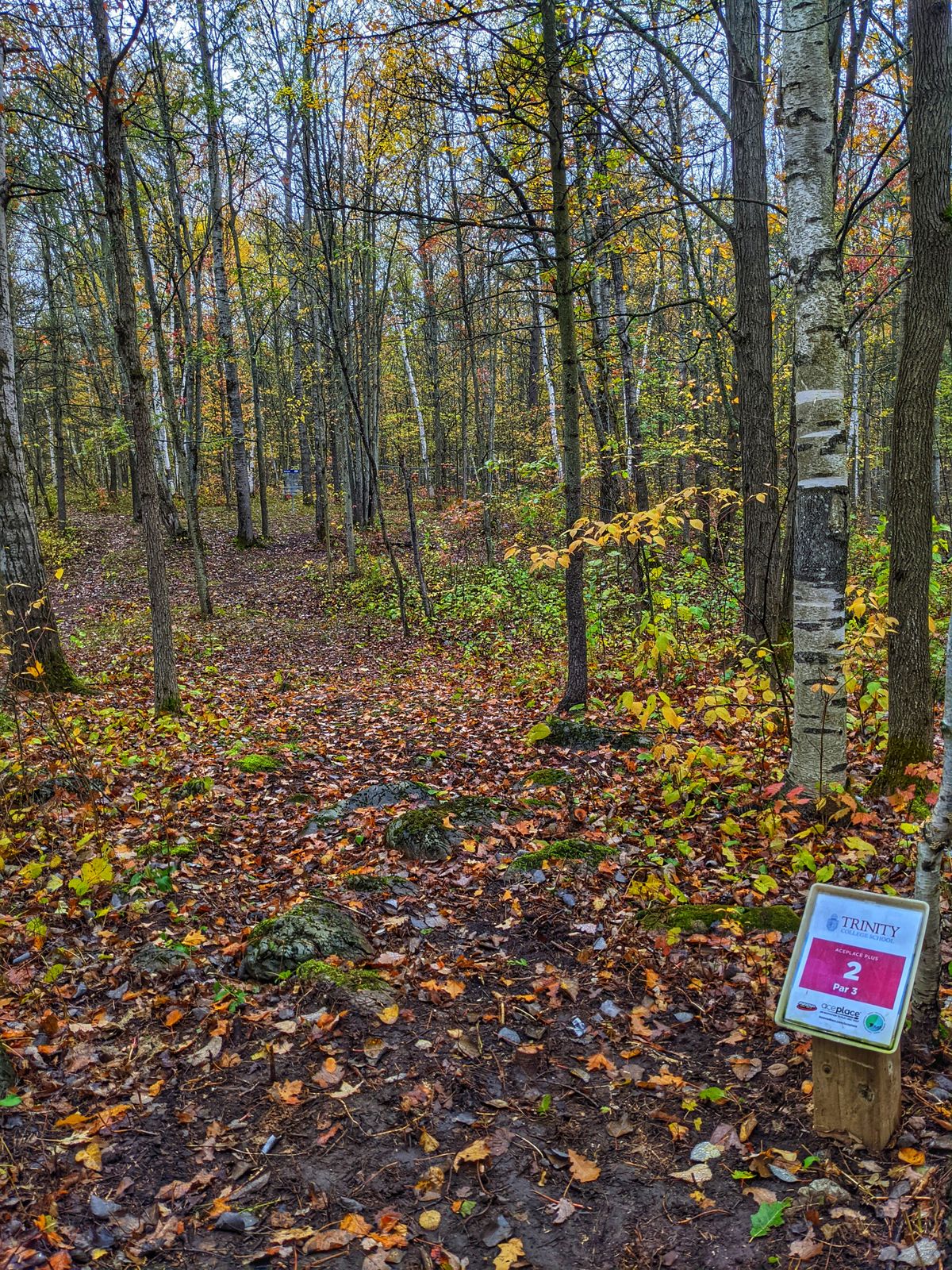 Hole 2 view from teepad