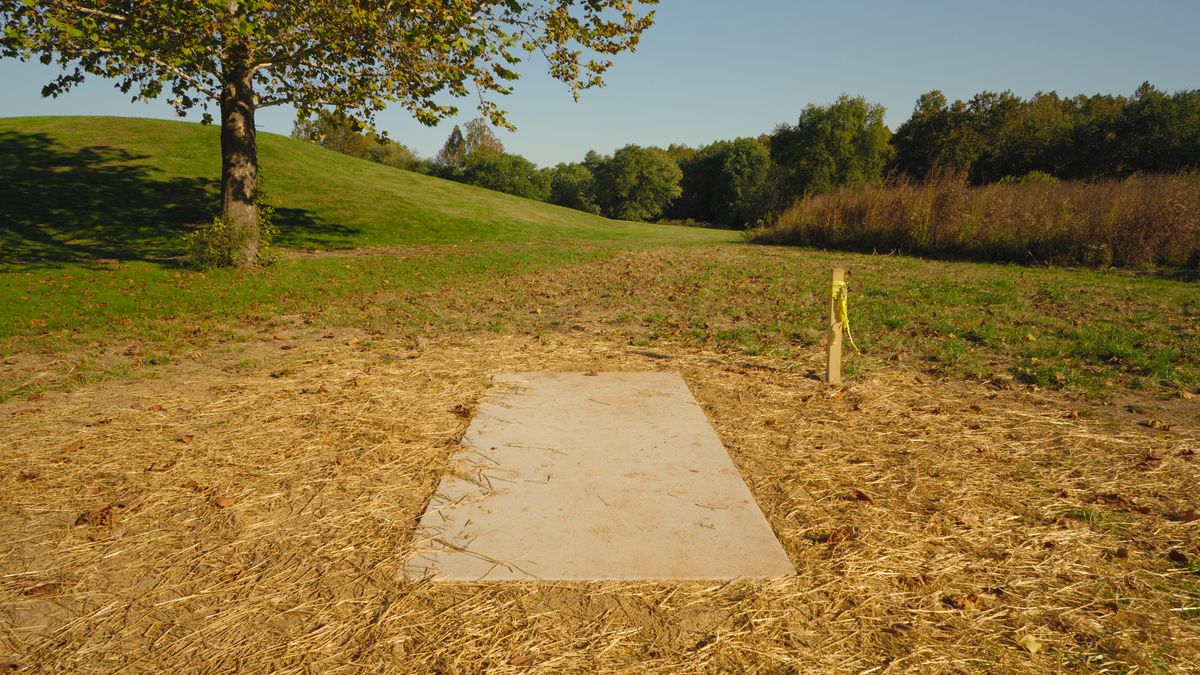 Hole 6 Tee