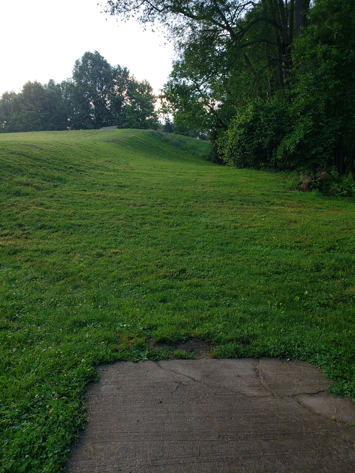 Hole 11 short teepad