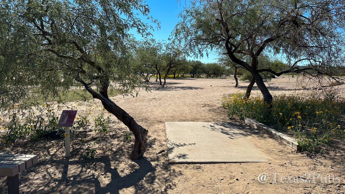 Hole 15
