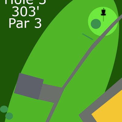 303' Par 3