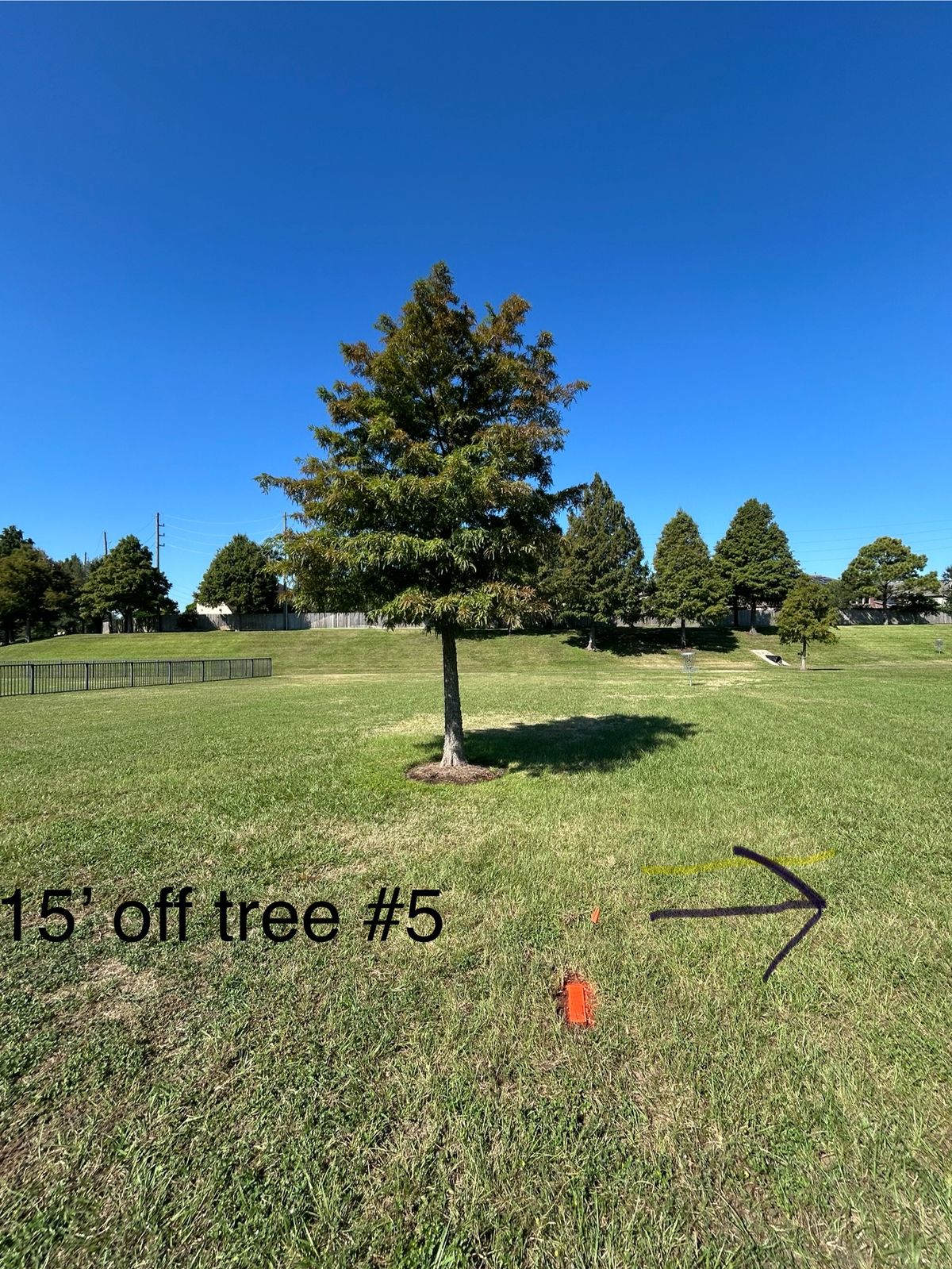 #5 tee 15 feet off the tree