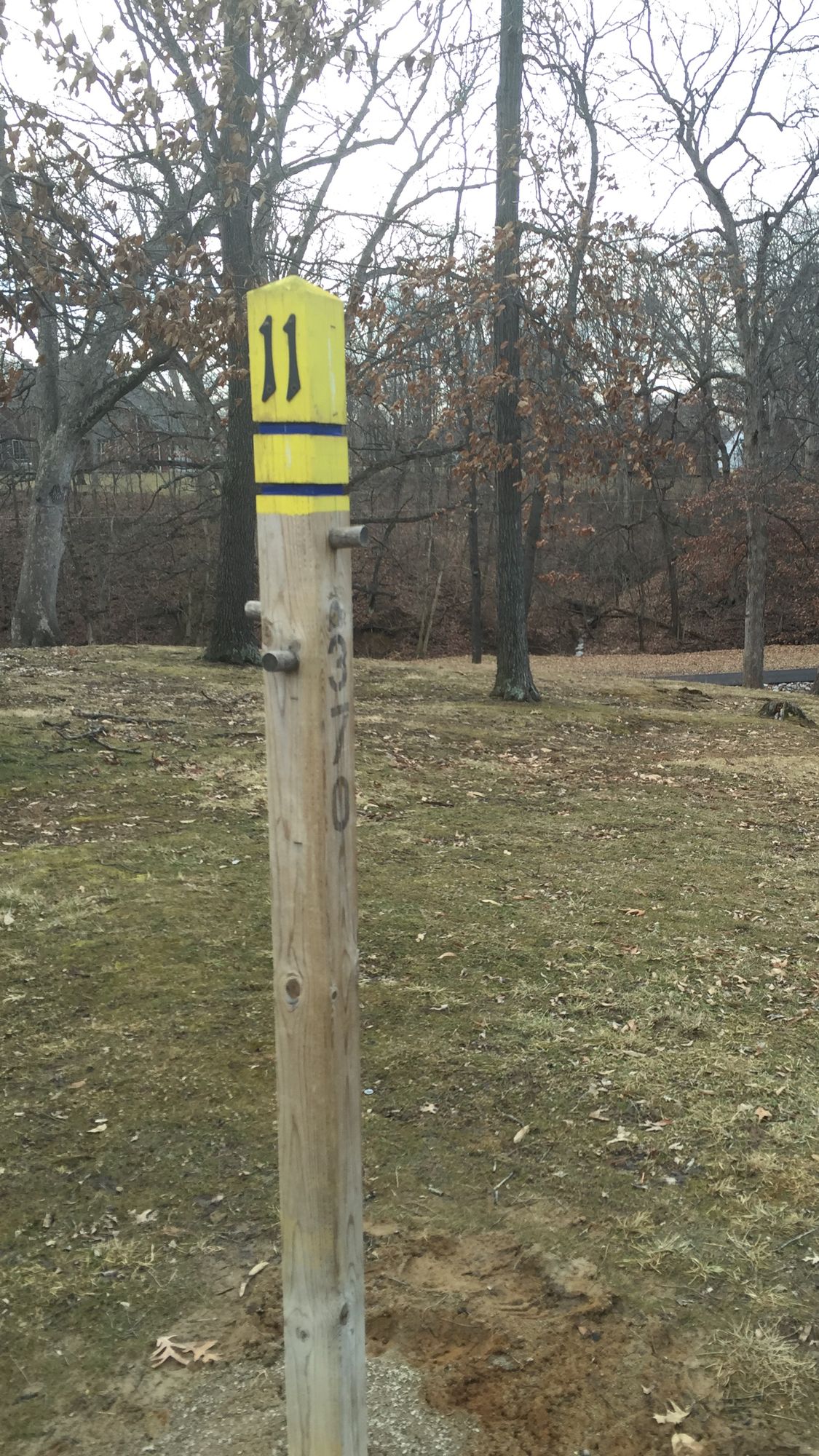 Hole 11