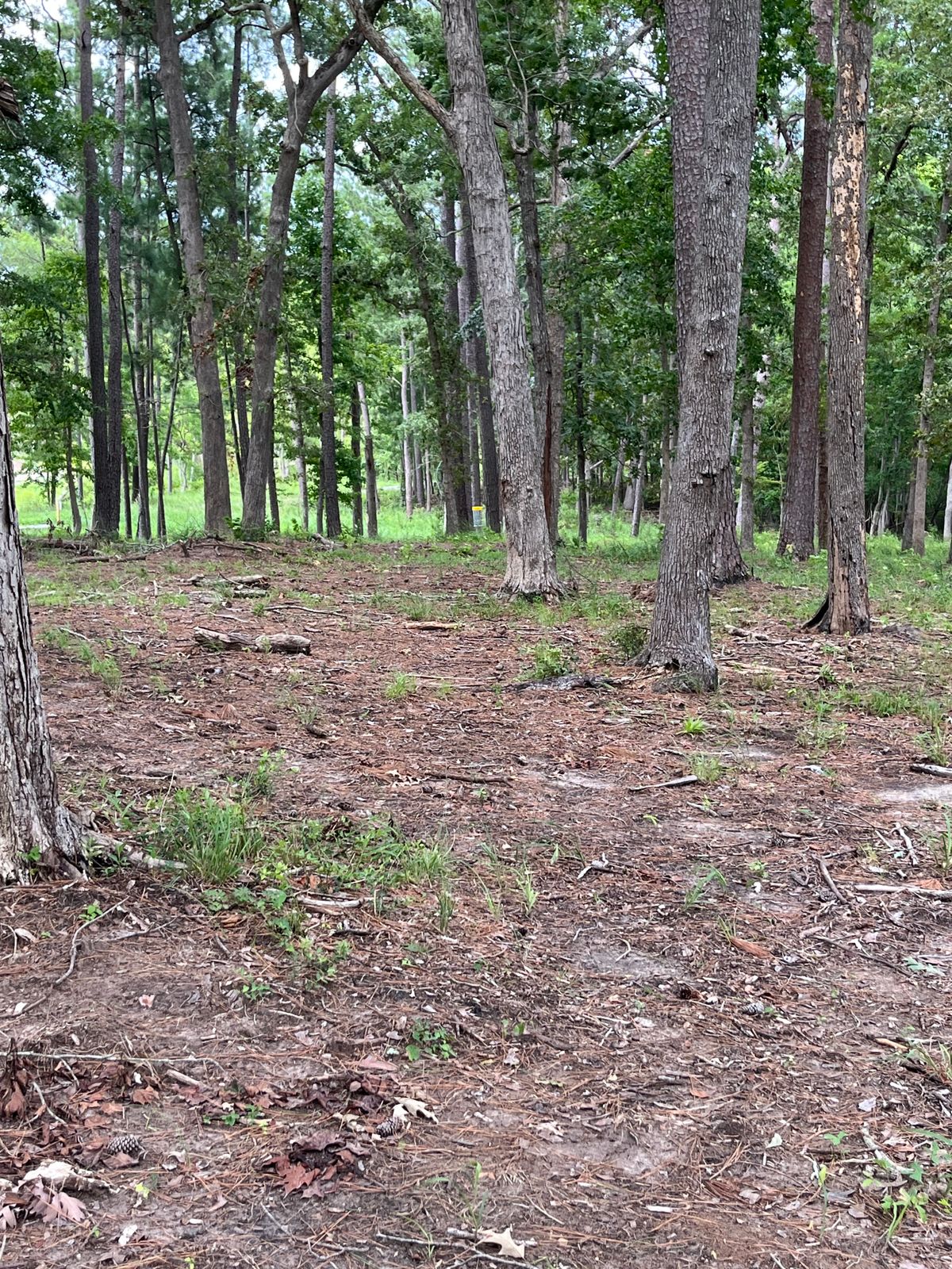 Fairway.