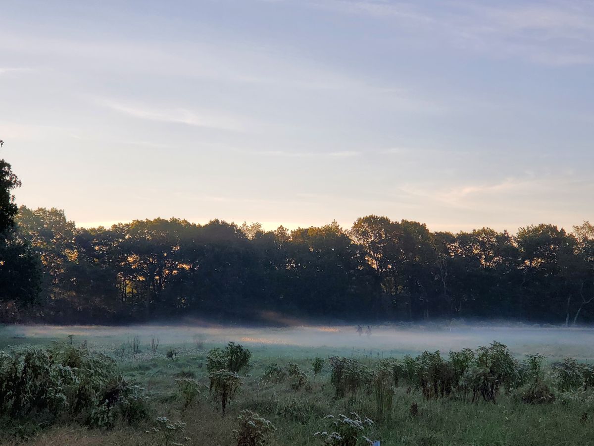 Two players in the mist...