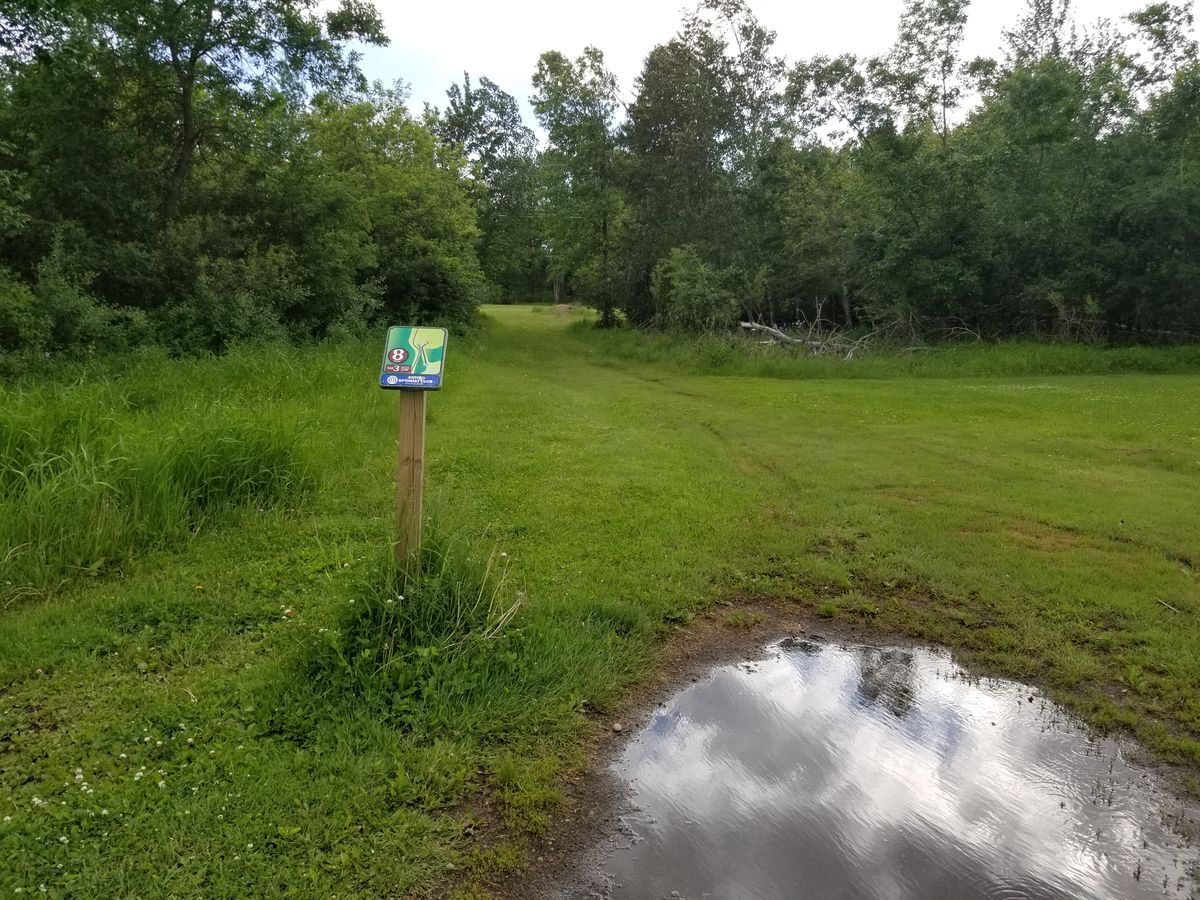 Several inches of rain the day before. This was the only teebox on the front that was still wet. Taken 6/11/20