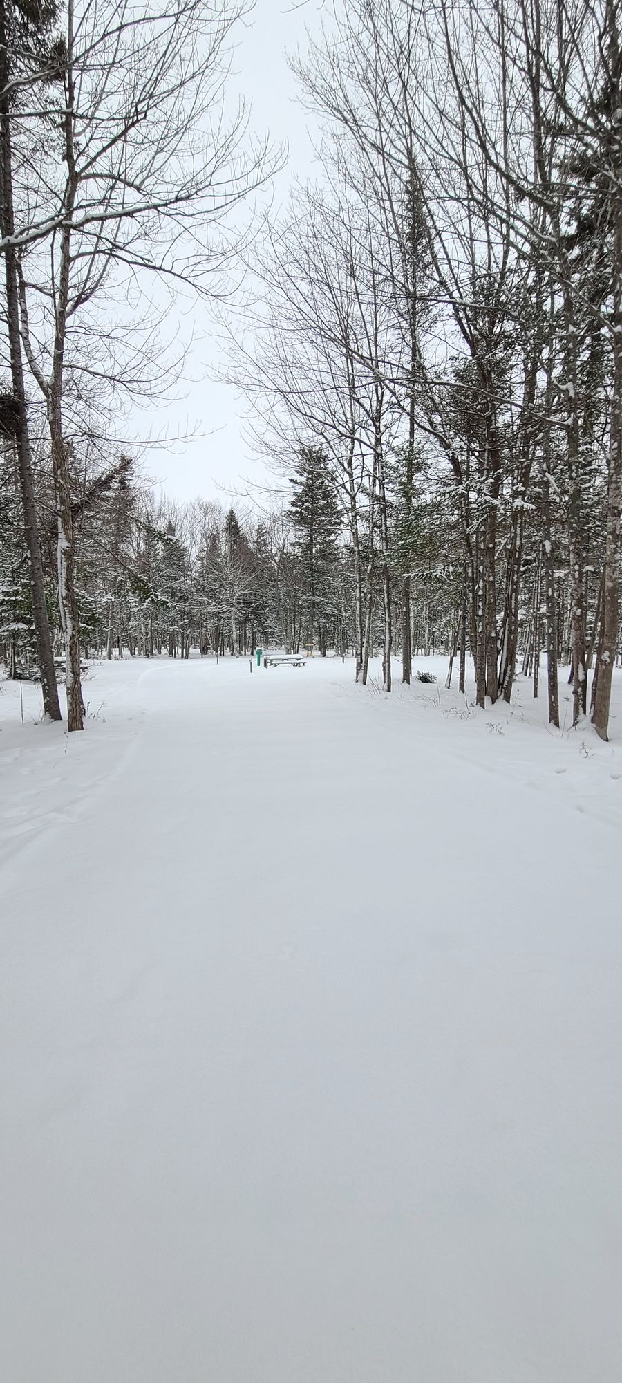 Hole number 7