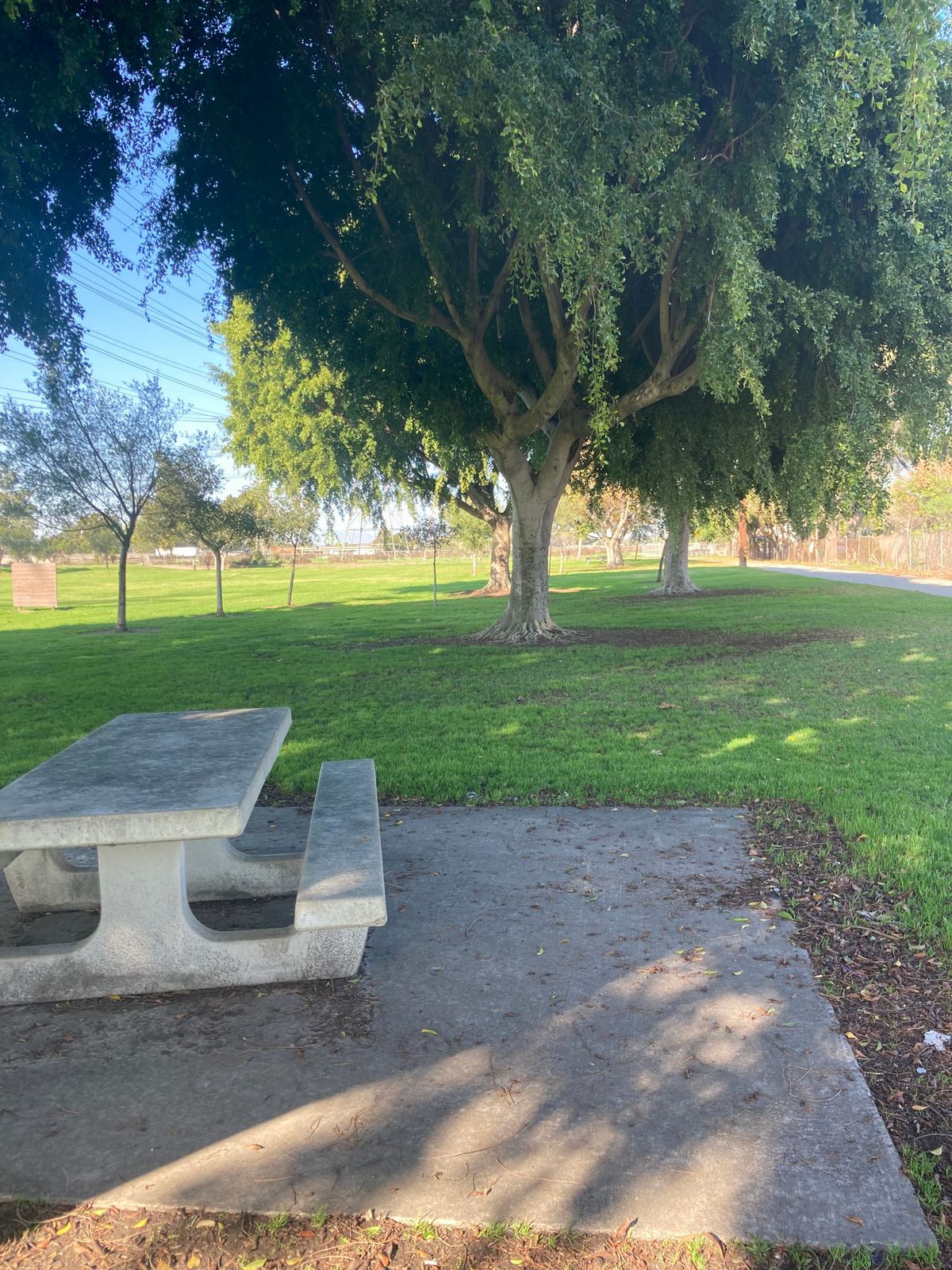 Hole 2 teepad