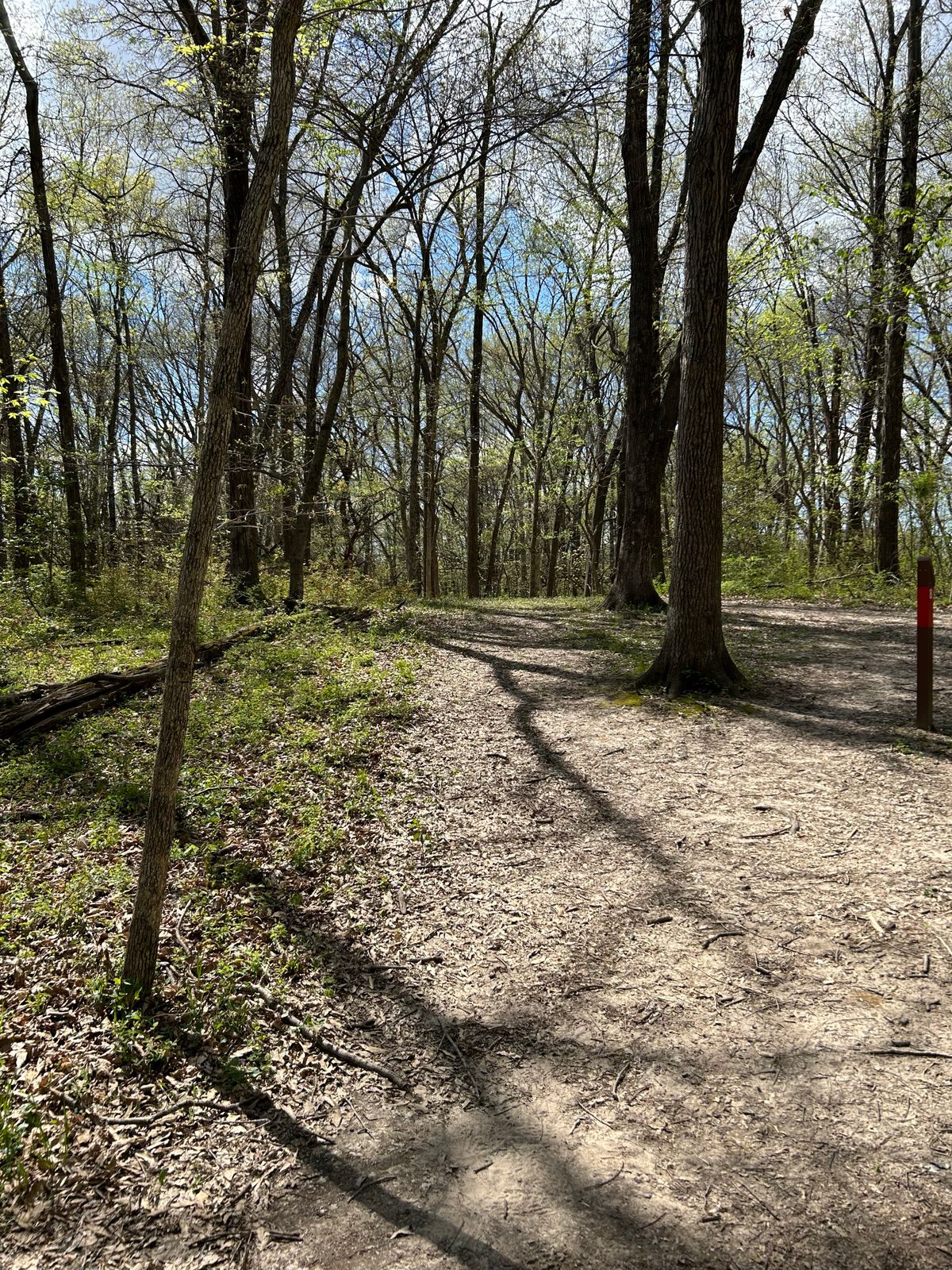 Hole 8 fairway from White tee