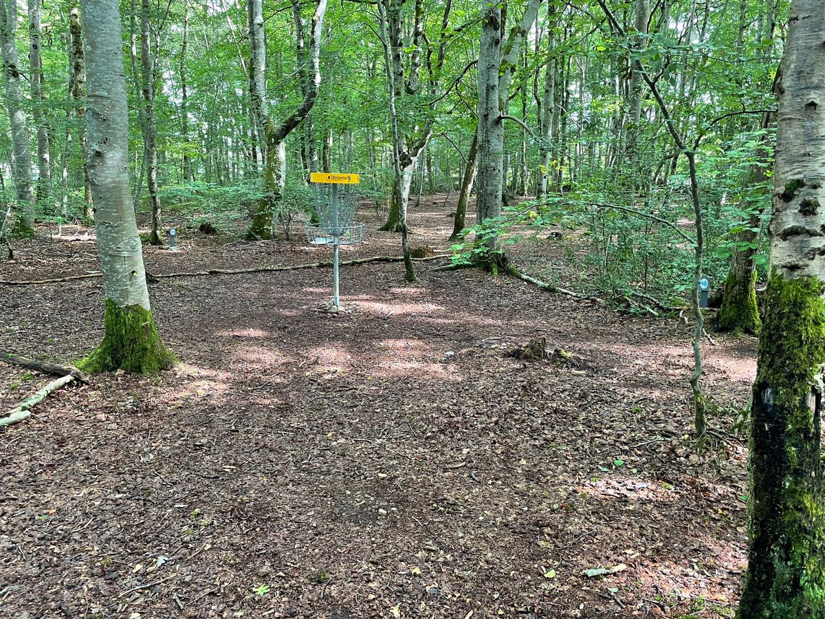Hole 9 island hole
