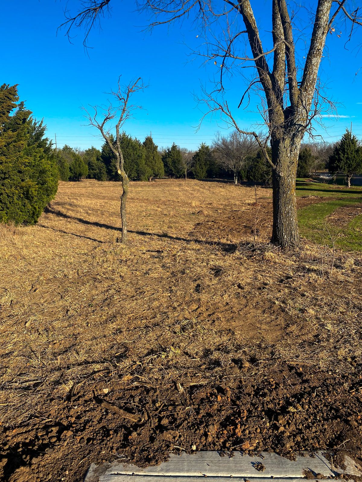 #7 Tee
