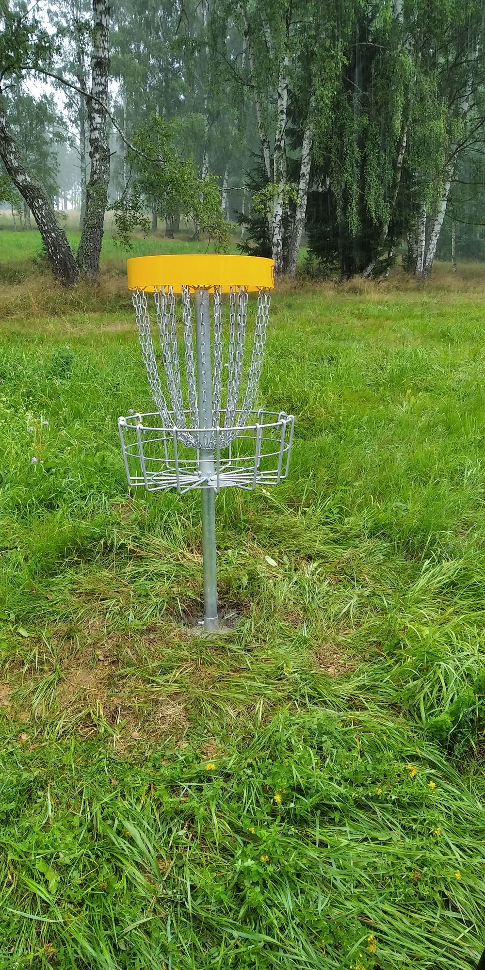 Basket no.7