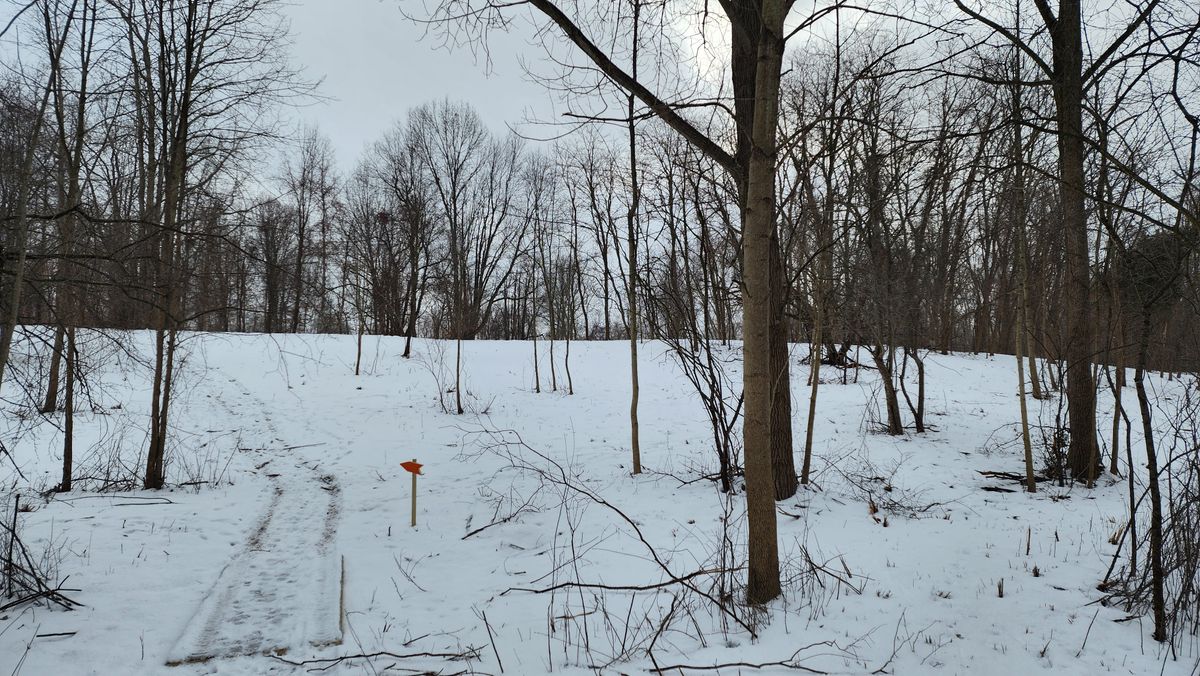 Approaching hole 6 tee, January 2025