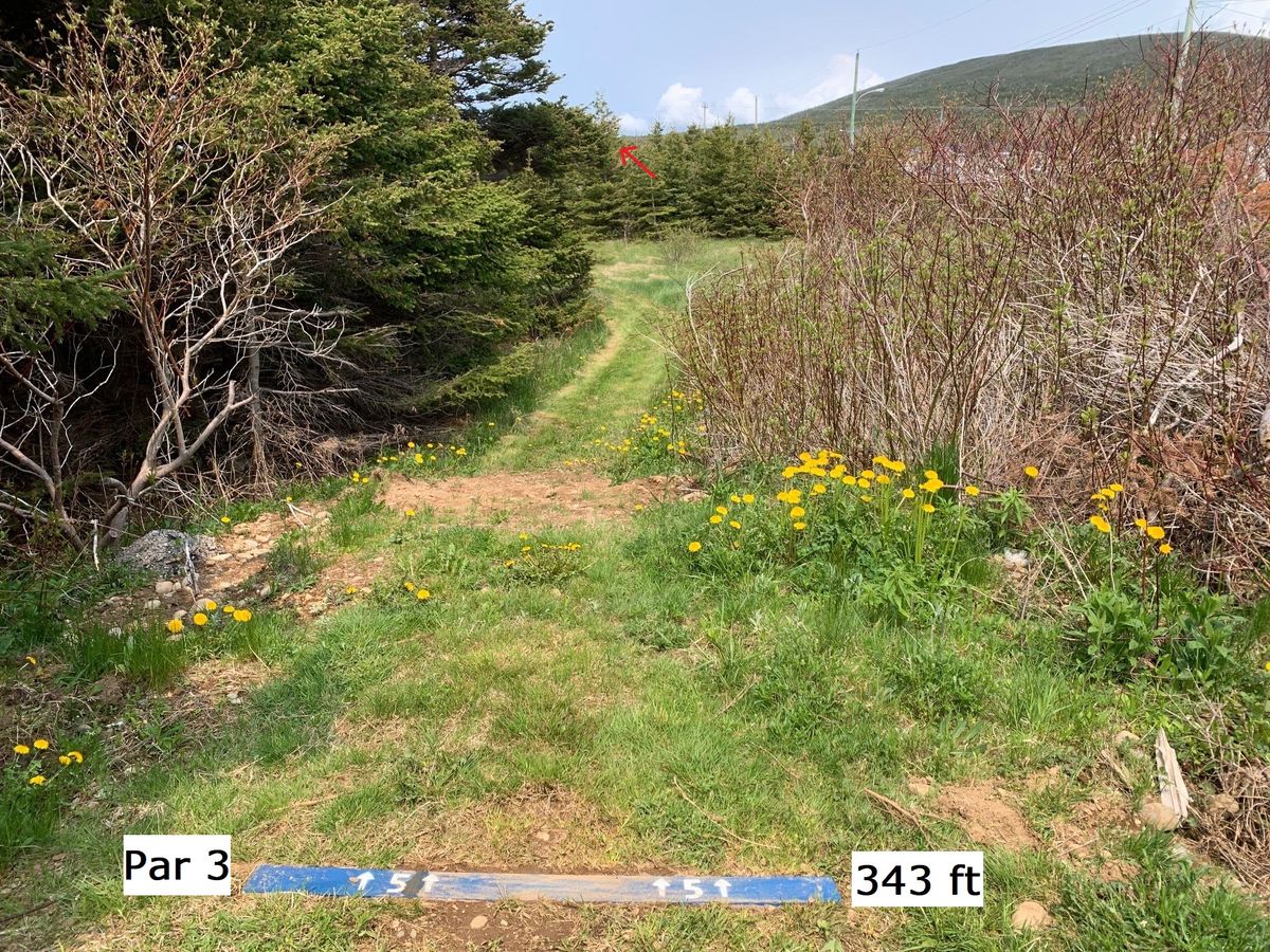 Hole 5
Par 3 - 343'
