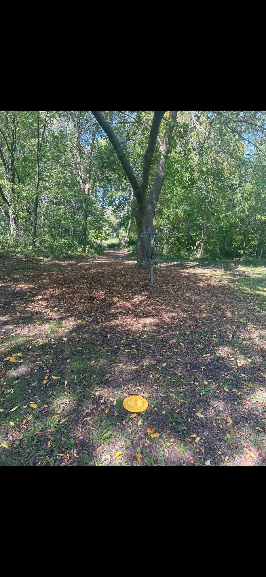 Hole 8 basket