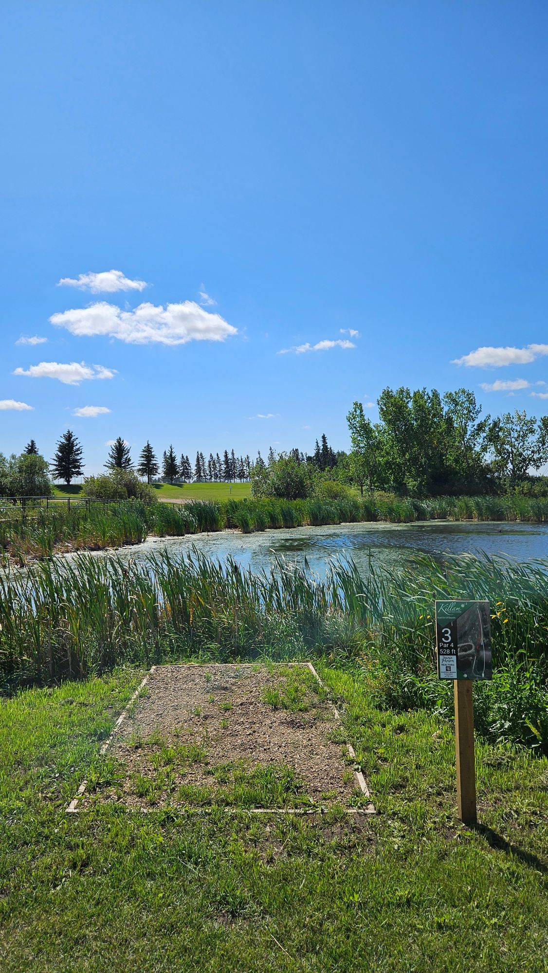 Hole 3 White tee looking across pond