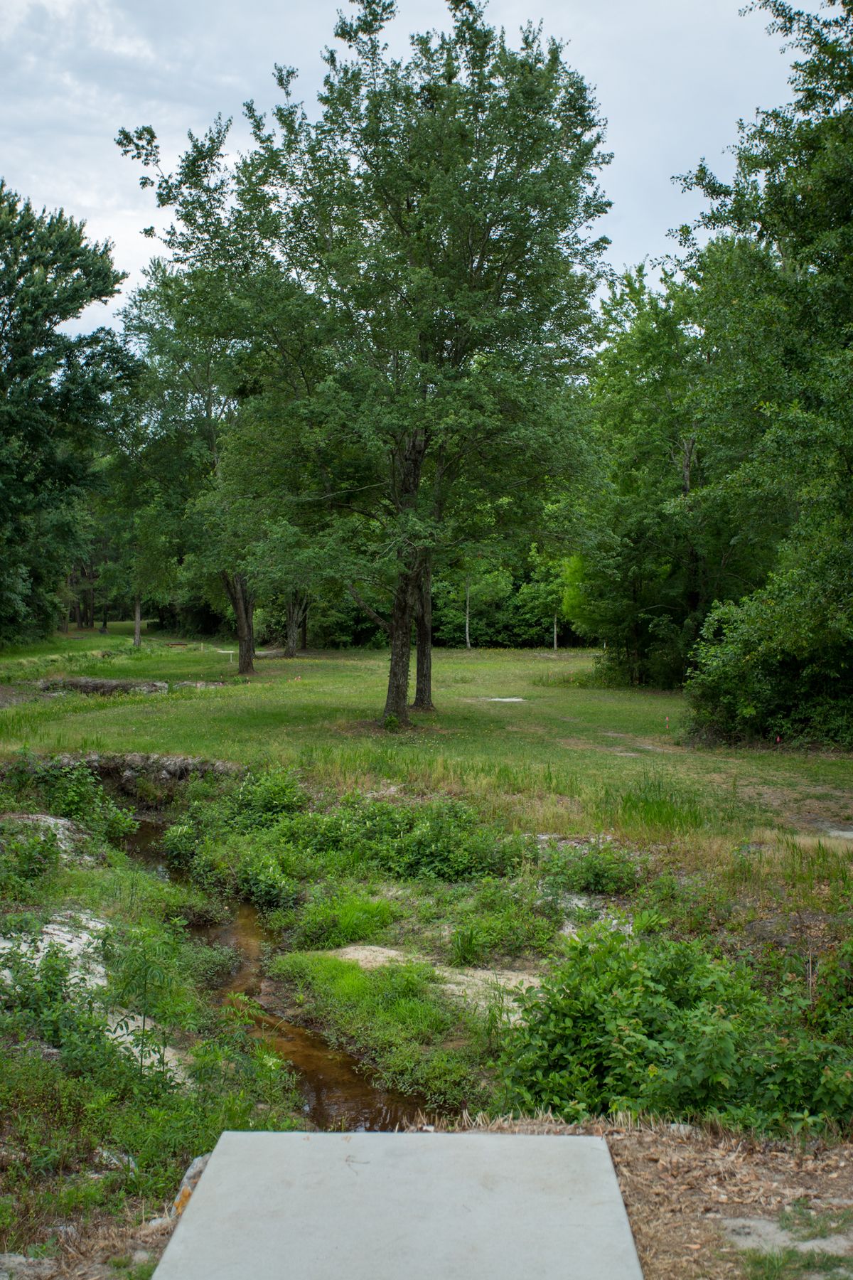 6, three positions, one out of view around the right brush