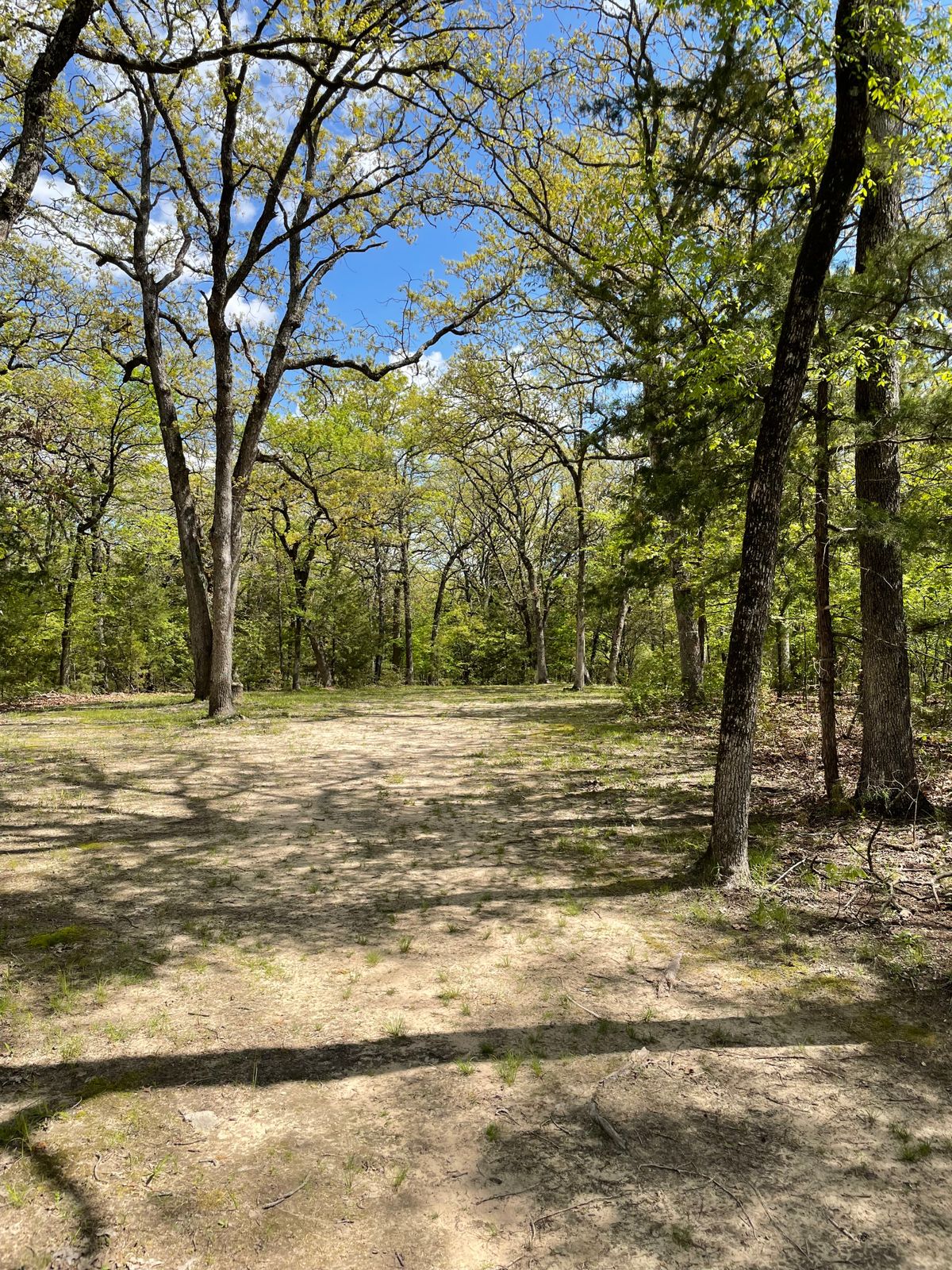 #4 short tee
